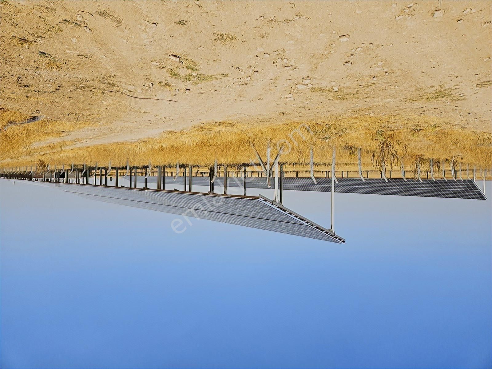 Ev Ruhsatlı, Büyük Hobi Bahçesi Doğayla İç İçe Yaşam - Görsel 14