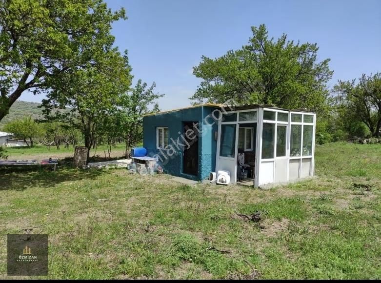 Hacılar Sakar Çiftliği Satılık Evli Bağ - Görsel 4
