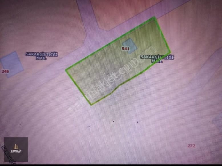 Hacılar Sakar Çiftliği Satılık Evli Bağ - Görsel 5