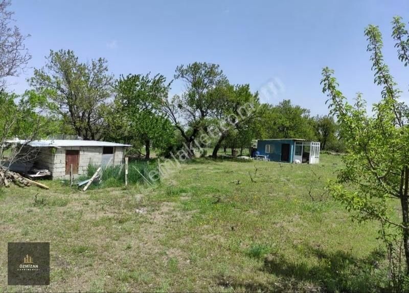 Hacılar Sakar Çiftliği Satılık Evli Bağ