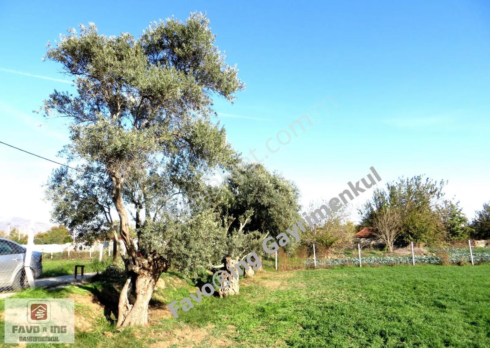 Bayındır Yakapınar | Köy İçinde İmarlı Arsa 3.047 M2 Yatırımlık - Görsel 14