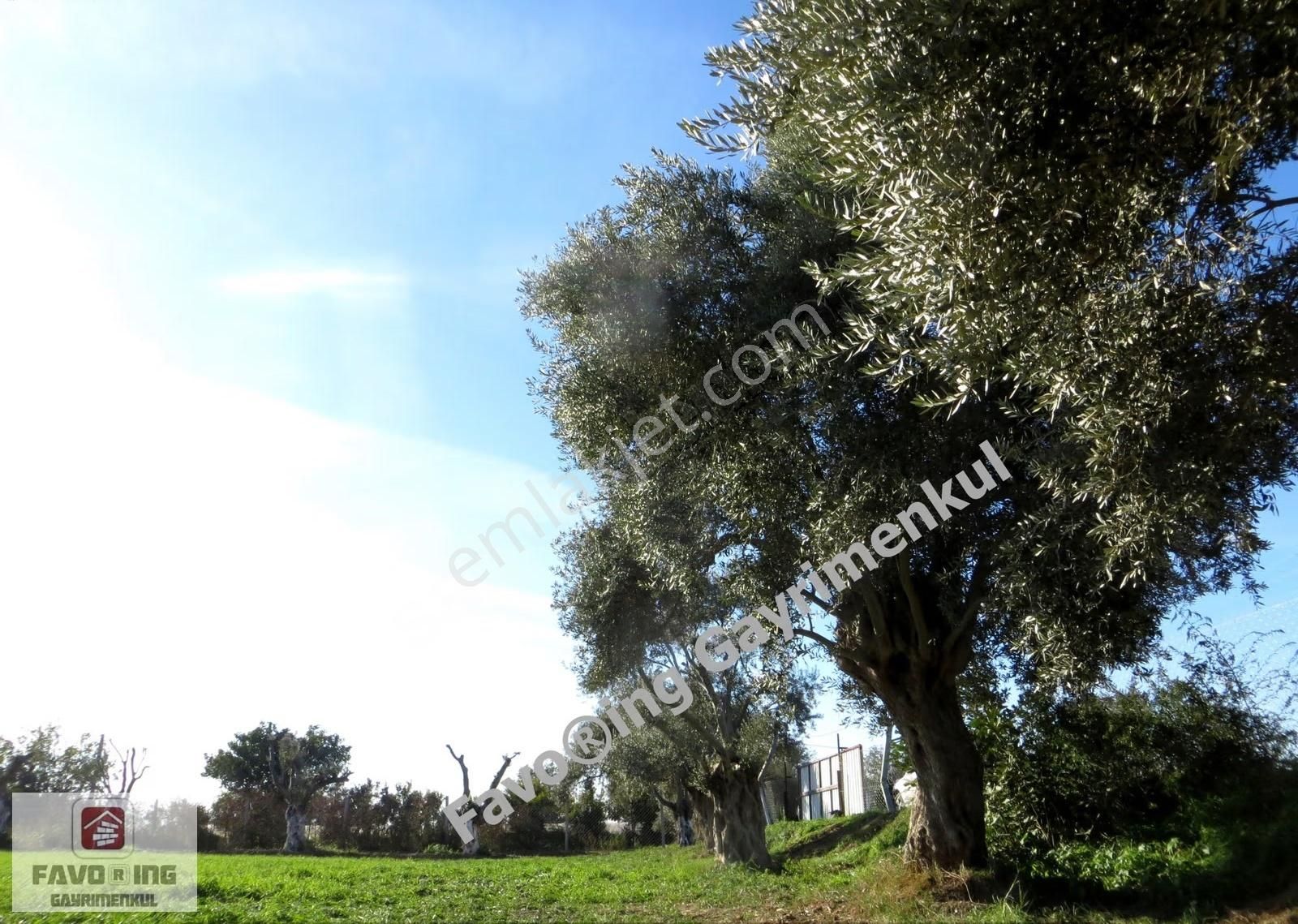 Bayındır Yakapınar | Köy İçinde İmarlı Arsa 3.047 M2 Yatırımlık - Görsel 19