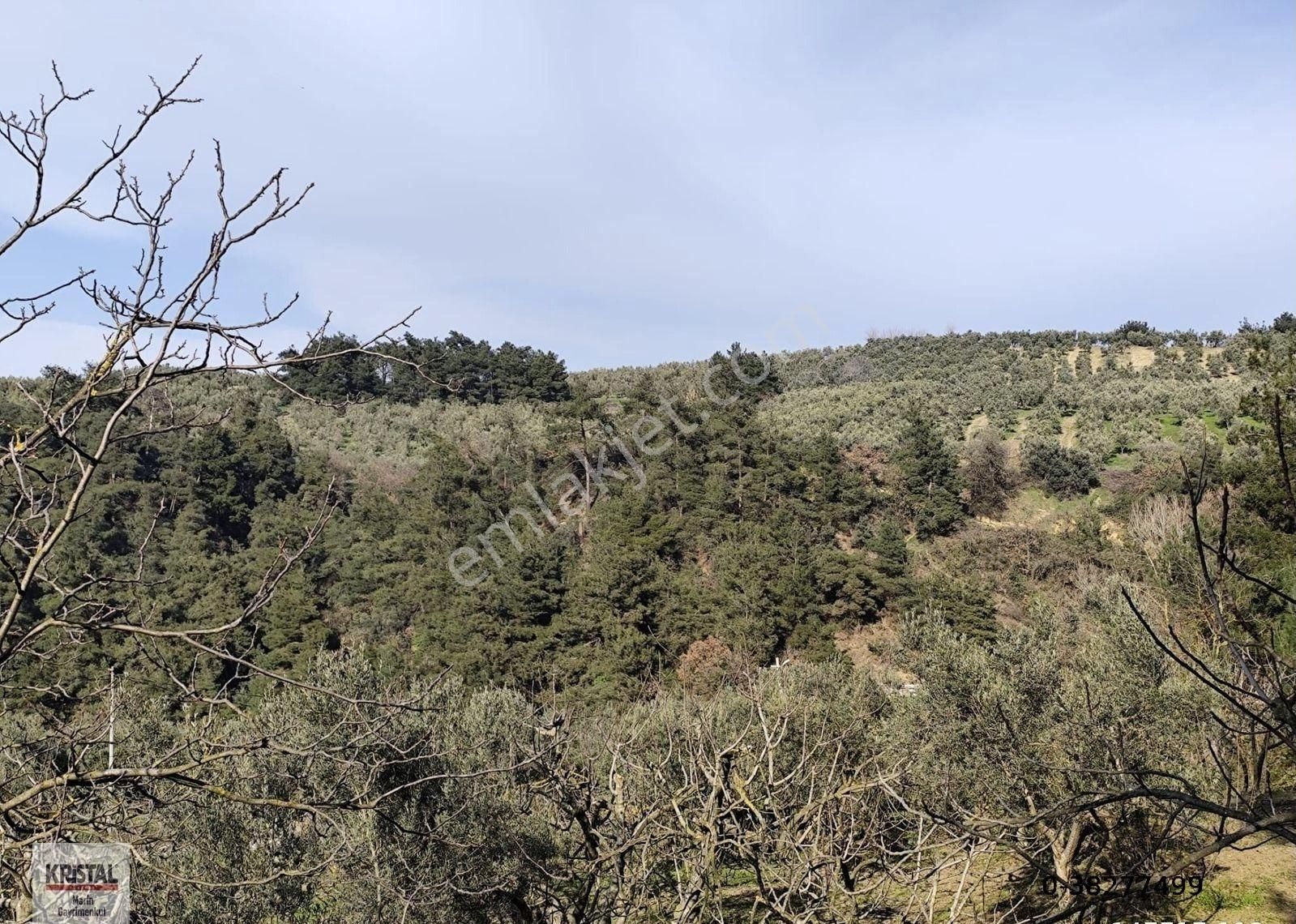 Kristal Marin'den Mudanya Aydınpınar Mah. Satılık İmarlı Arazi - Görsel 5