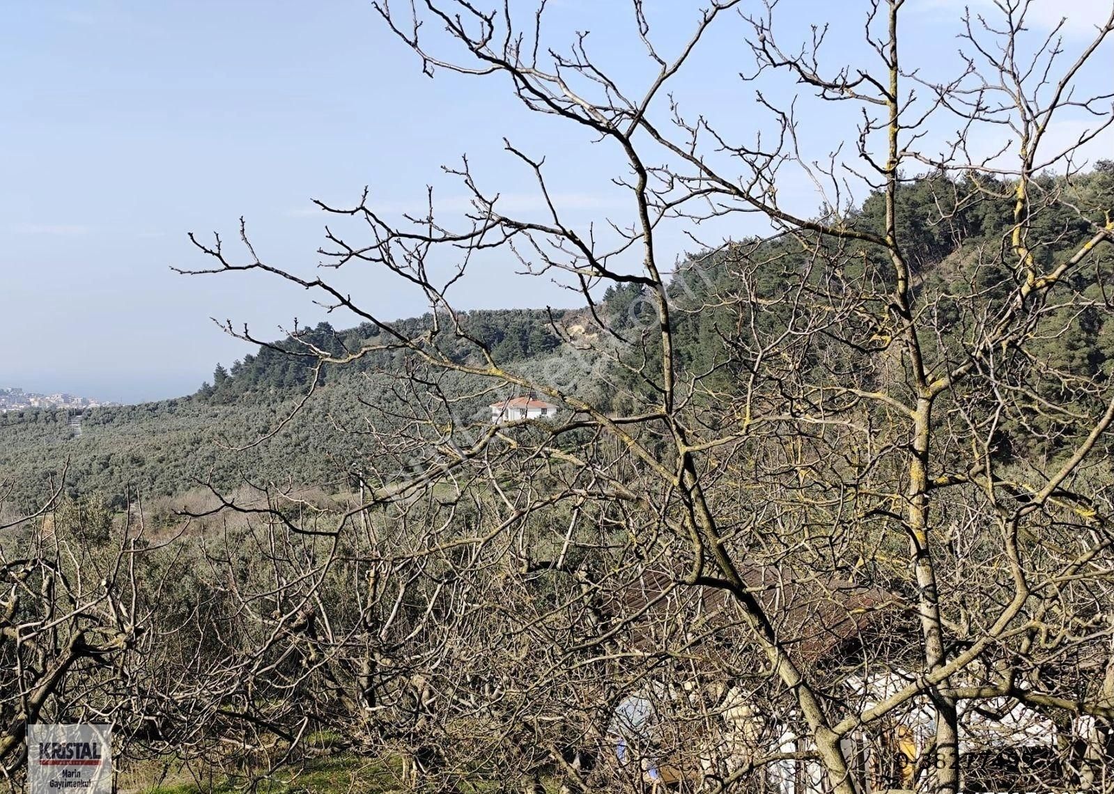 Kristal Marin'den Mudanya Aydınpınar Mah. Satılık İmarlı Arazi - Görsel 8