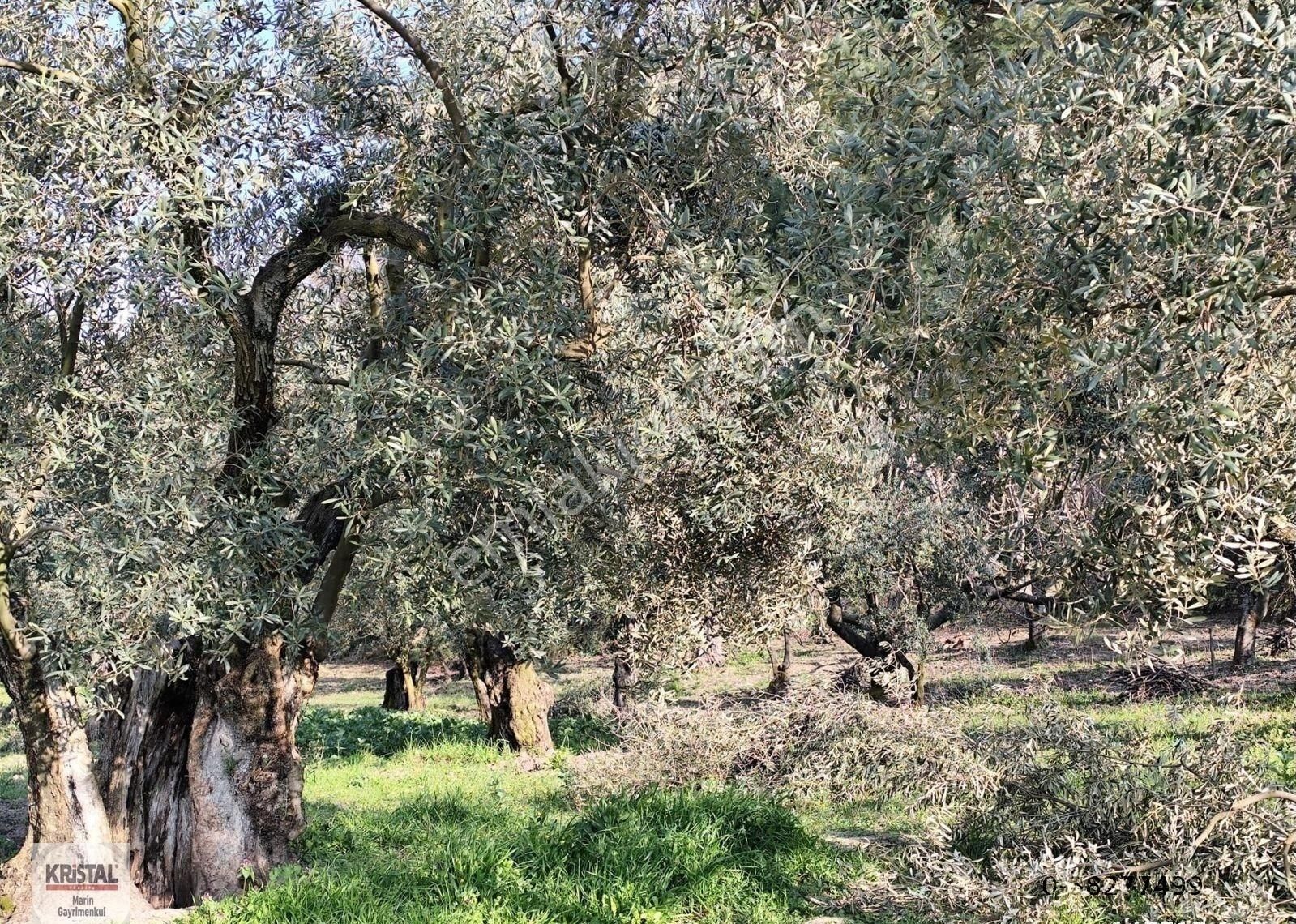 Kristal Marin'den Mudanya Aydınpınar Mah. Satılık İmarlı Arazi - Görsel 9