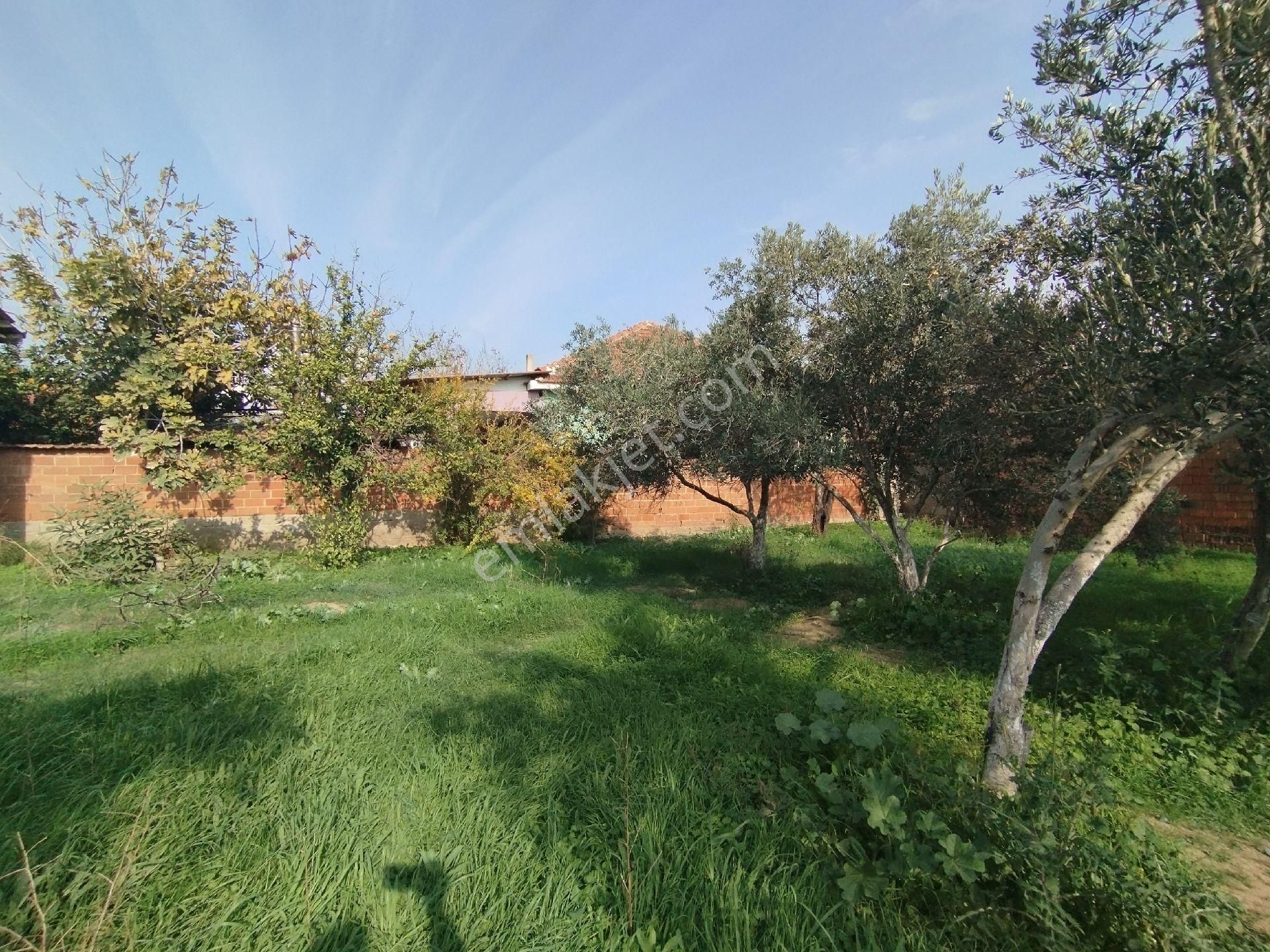 Müstakil Tapulu Ev, Arsa Ve Ahırı Olan 1234 M2 - Görsel 13