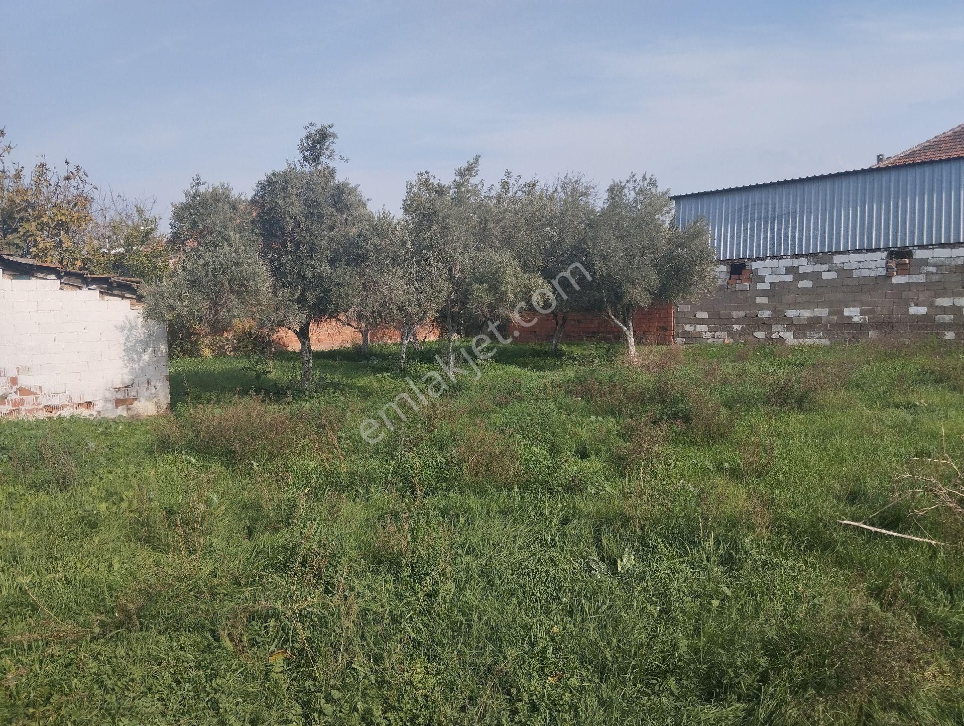 Müstakil Tapulu Ev, Arsa Ve Ahırı Olan 1234 M2 - Görsel 17