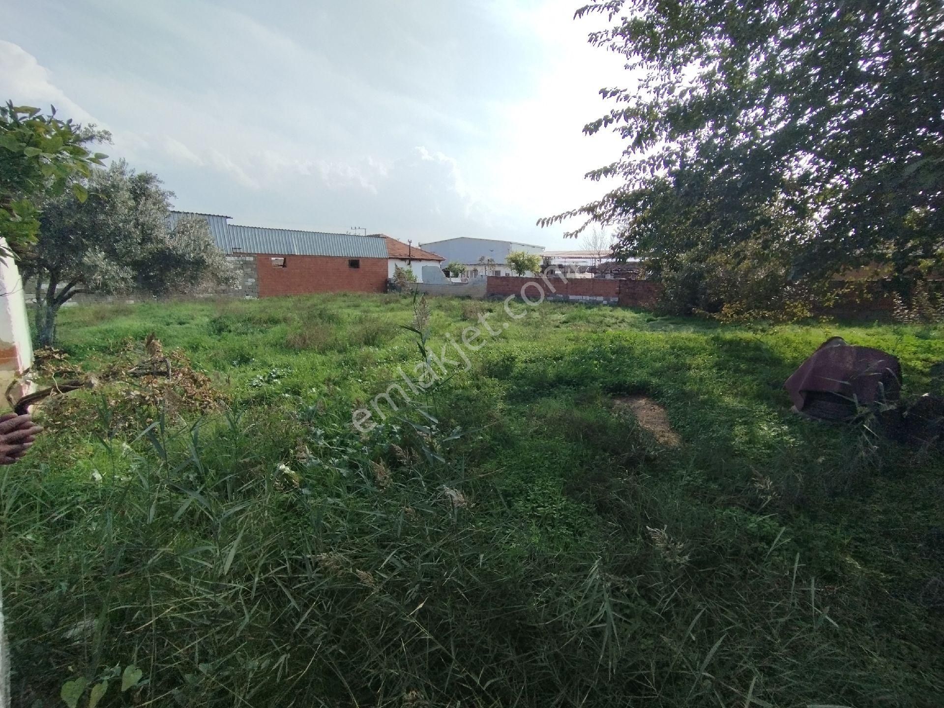 Müstakil Tapulu Ev, Arsa Ve Ahırı Olan 1234 M2 - Görsel 27