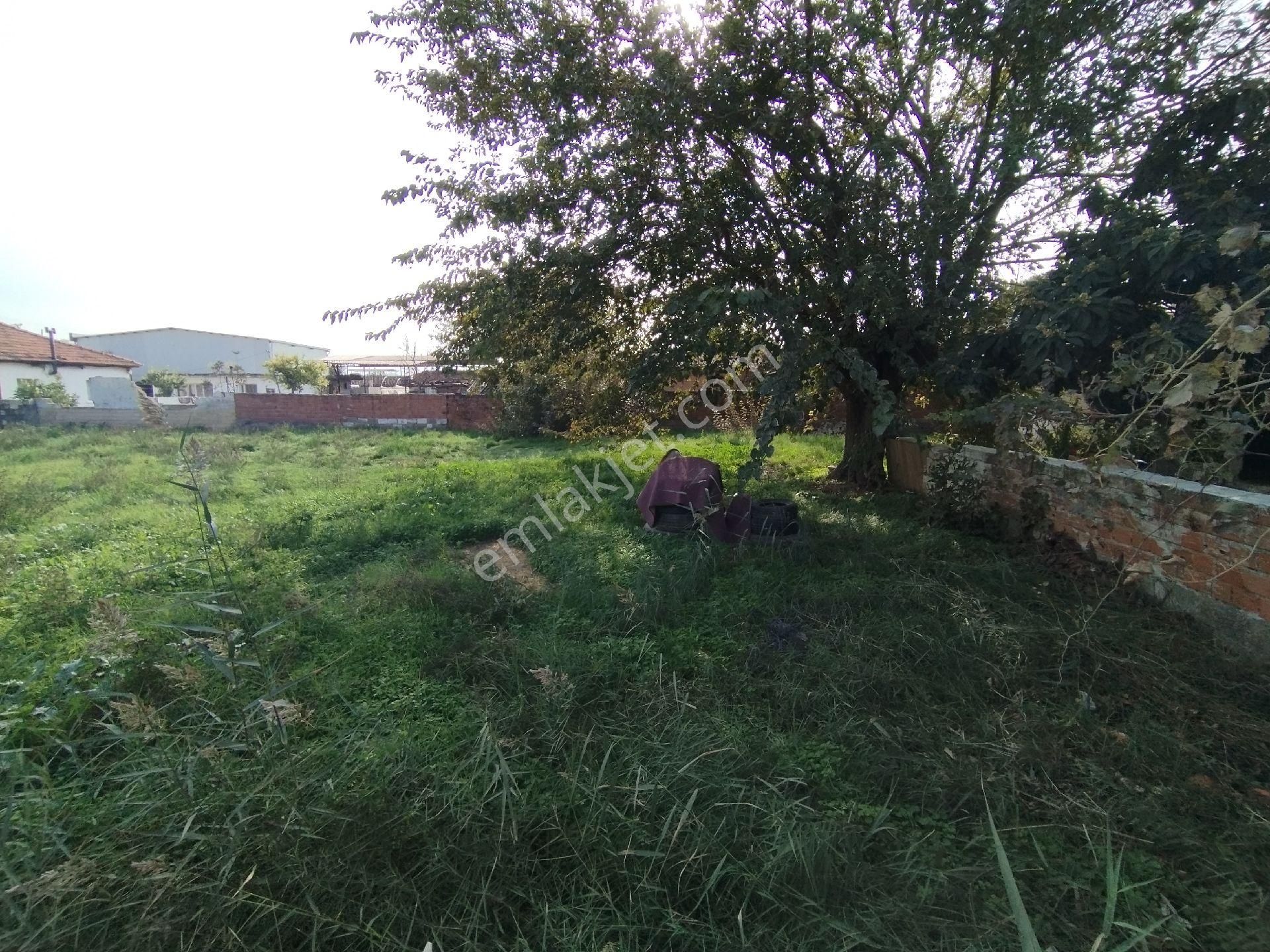 Müstakil Tapulu Ev, Arsa Ve Ahırı Olan 1234 M2 - Görsel 26