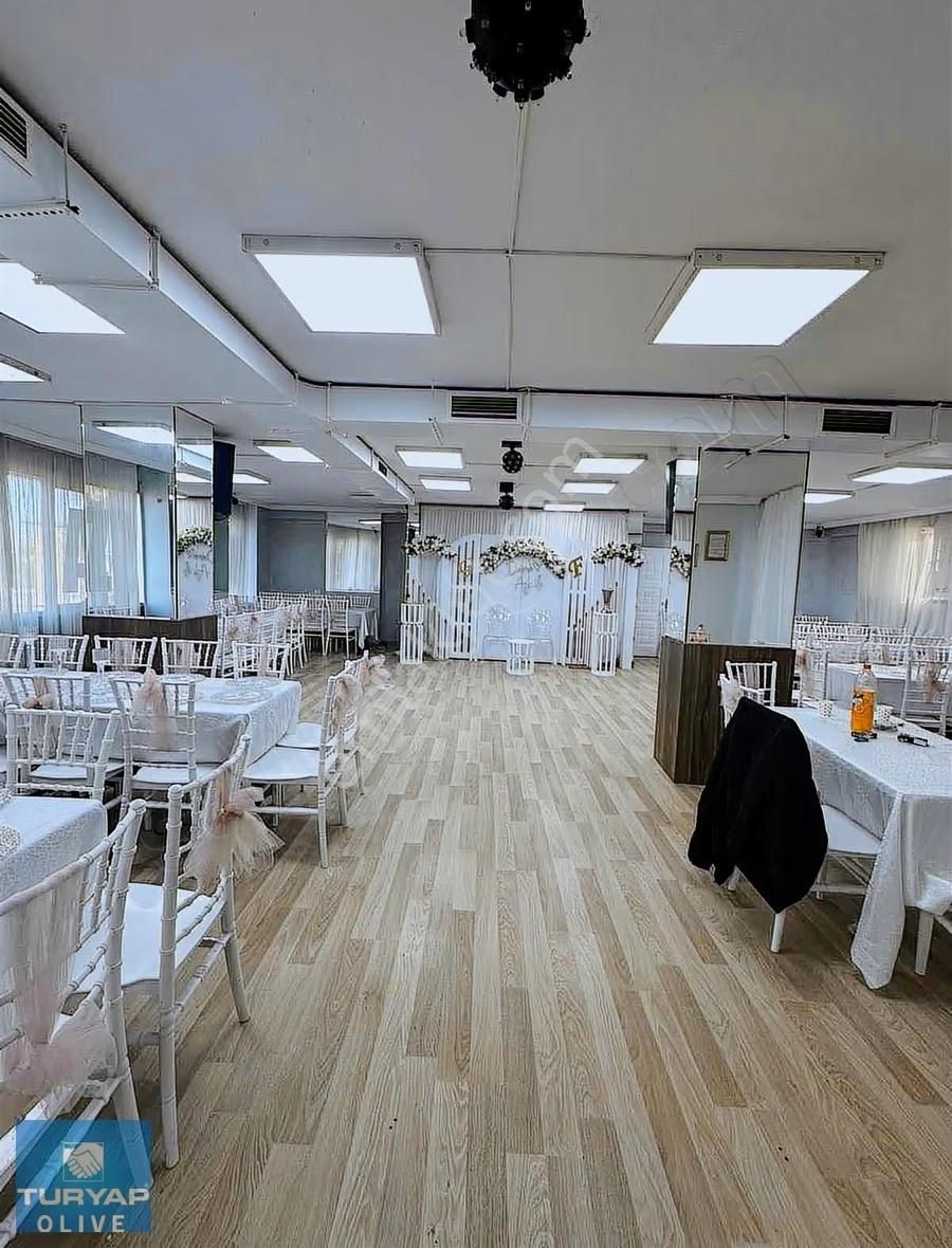 Turyap Olive Den - Görsel 23