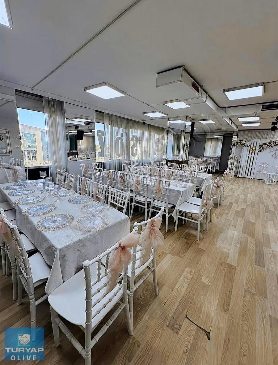 Turyap Olive Den - Görsel 24