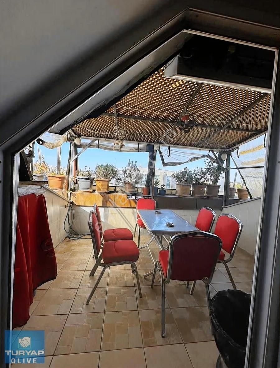 Turyap Olive Den - Görsel 5