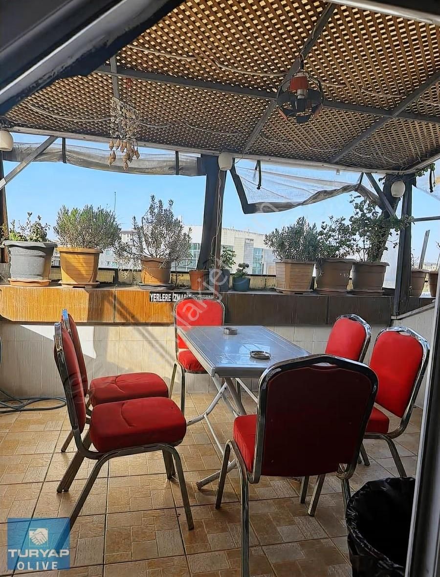 Turyap Olive Den - Görsel 3