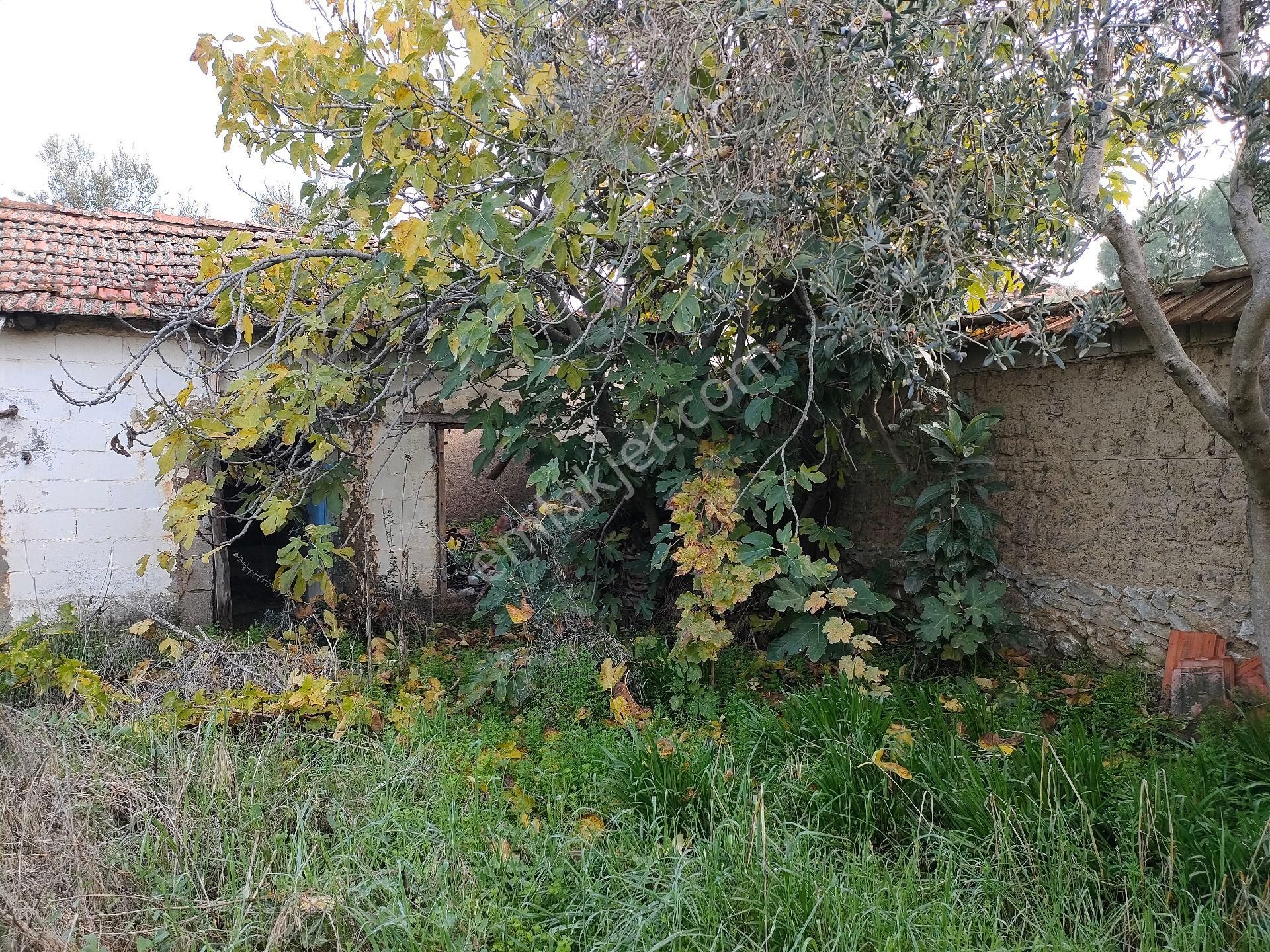 Poyracik Mah 470 Metrekare Satılık Müstakil Ev - Görsel 13