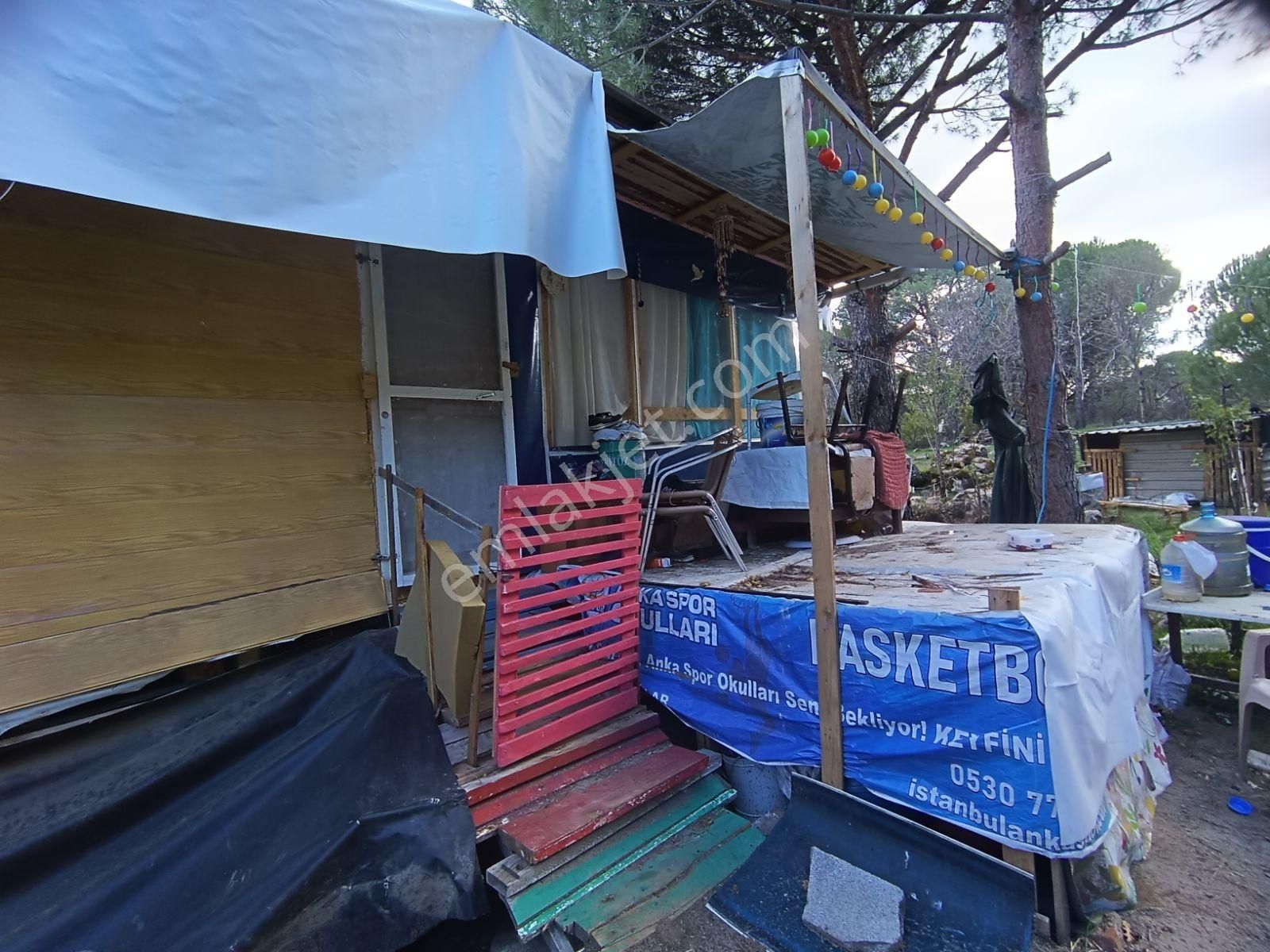 Sancak'tan Bergama Ayvatlar Köyünde Fırsat Satılık Tarla - Görsel 33