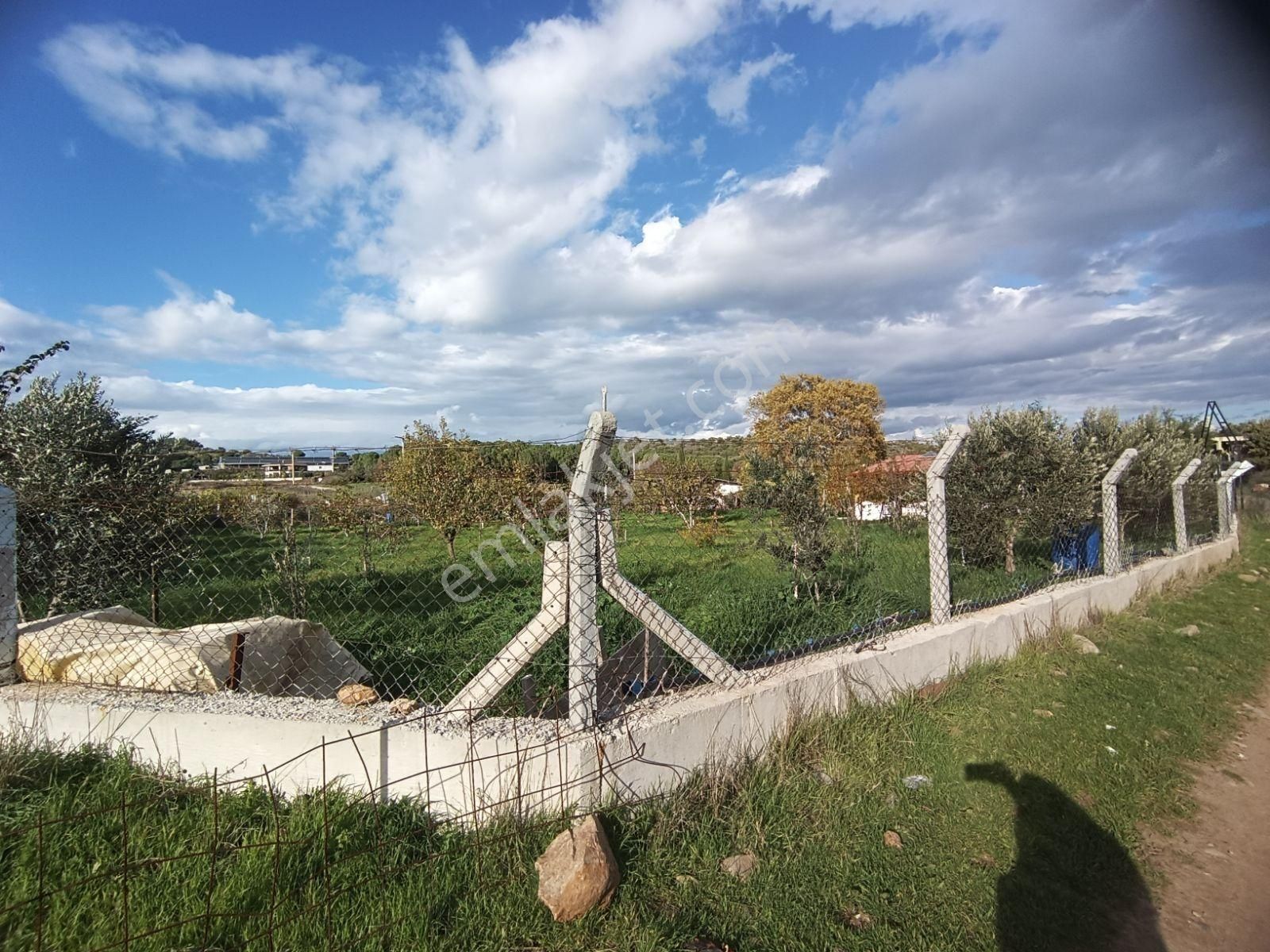 Sancak Emlaktan Burhaniye Şahinler Köyünde Satılık Mini Çiftlik - Görsel 20