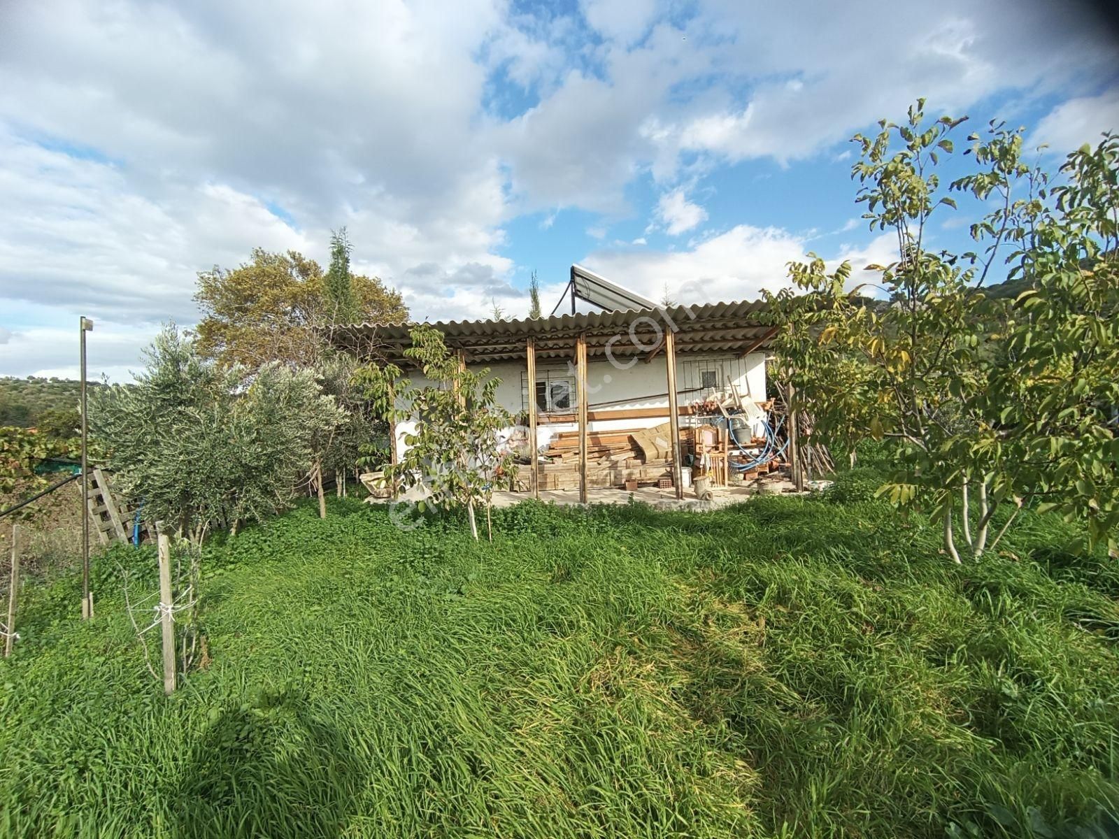 Sancak Emlaktan Burhaniye Şahinler Köyünde Satılık Mini Çiftlik - Görsel 27