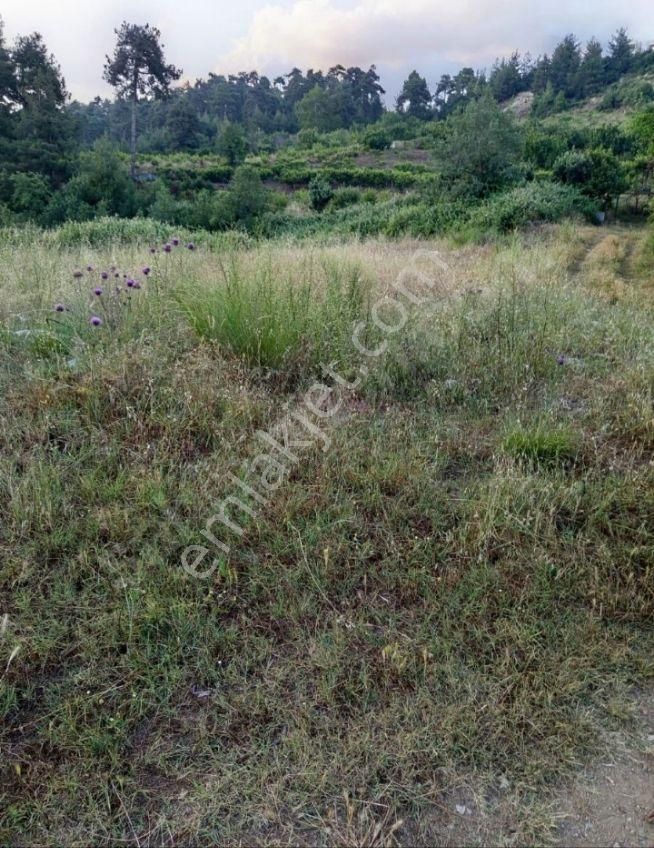 Mersin'in En Gözde Yaylası Kepirlide Yatırımlık 367 M2 Arsa