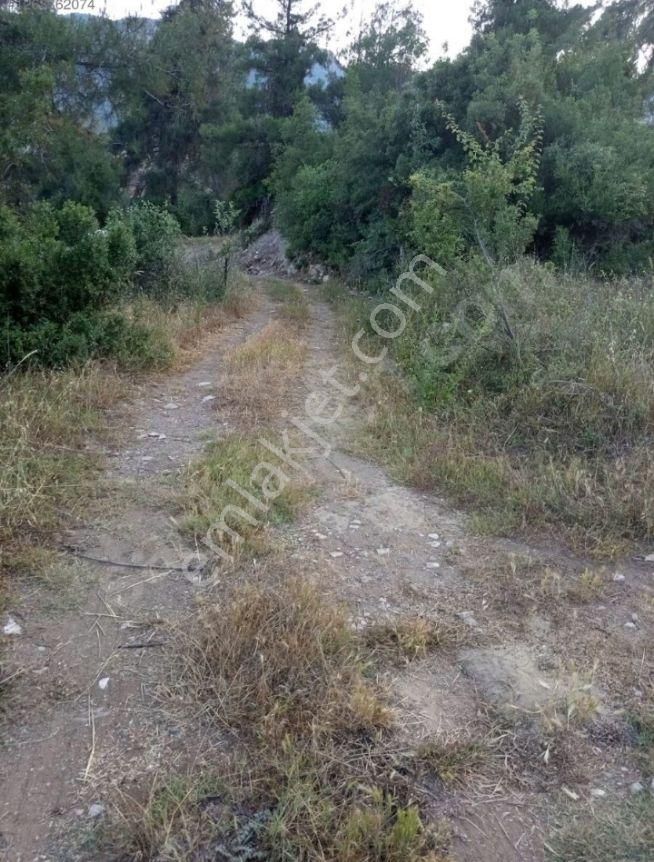 Mersin'in En Gözde Yaylası Kepirlide Yatırımlık 367 M2 Arsa - Görsel 2