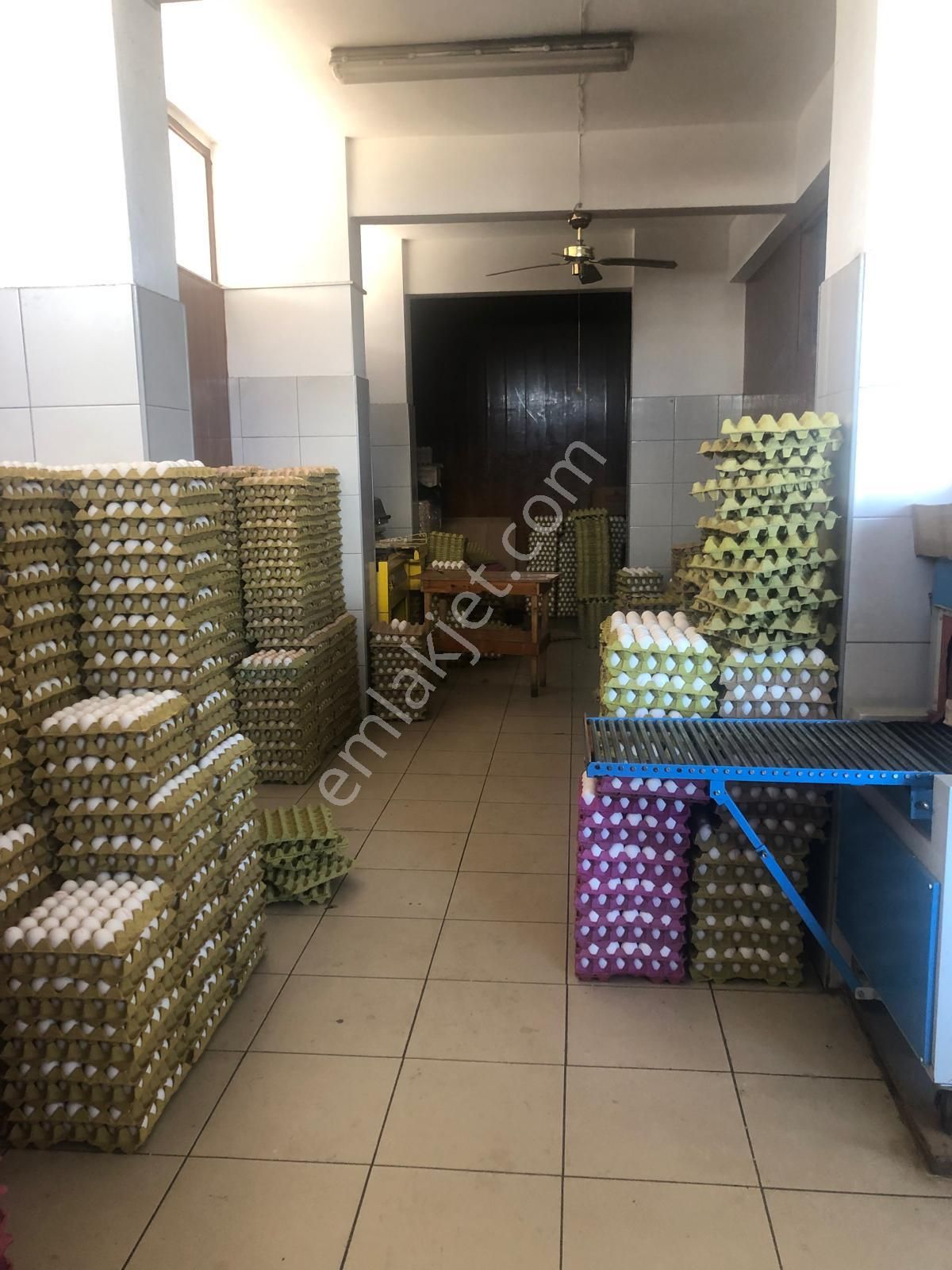 Trabzon Beşirli Satılık 240 M2 Dükkan - Görsel 3