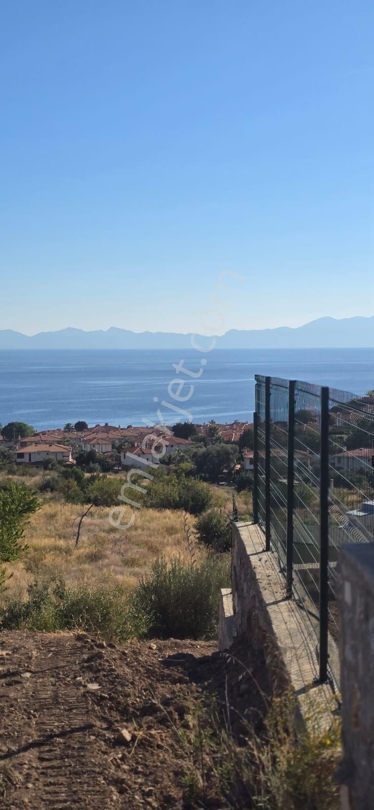 Milas Bozalan’da Denize 400 M | 2 Dönüm Zeytinlik | Yatırımlık – Karavan / Tiny House Uygun - Görsel 8