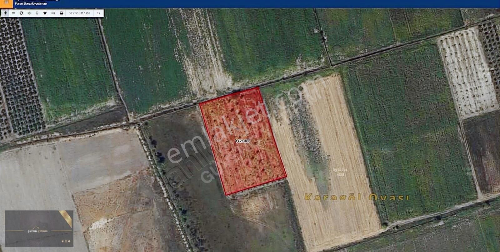 7 Yaşında Bakımlı Ceviz Bahçesi Uygun Fiyat İle Satılıkkk - Görsel 6