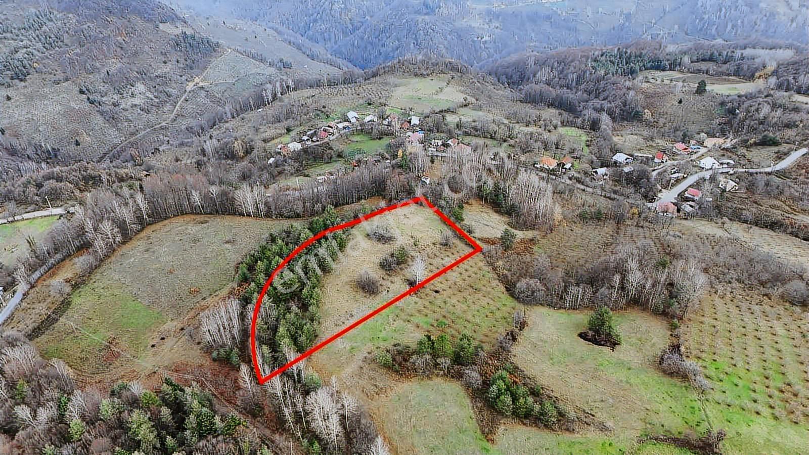 Ruşen Aydın Gyd'dan Kaynaşlı Yeniyurt Köyünde Yatırımlık Arsa - Görsel 2