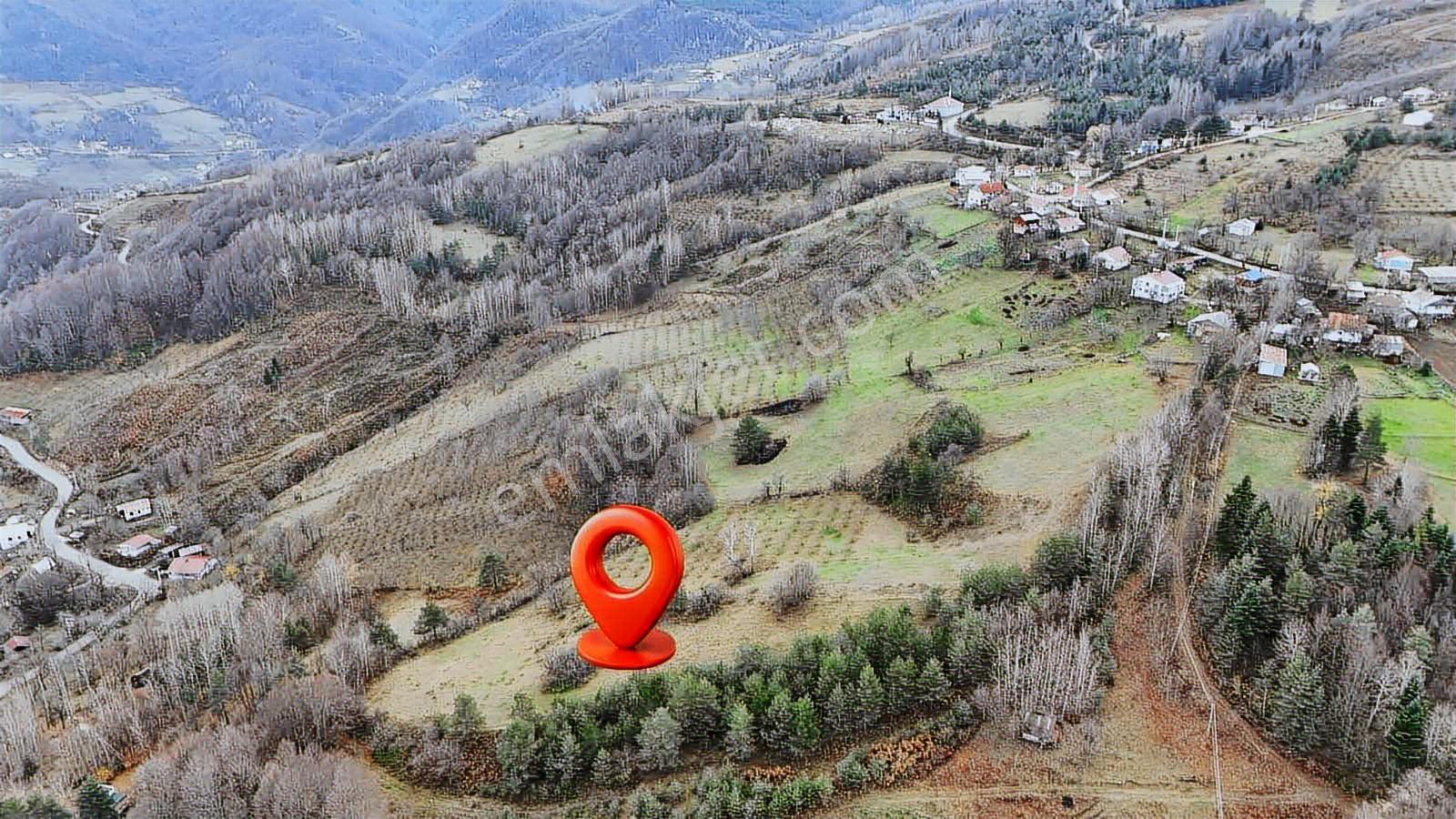 Ruşen Aydın Gyd'dan Kaynaşlı Yeniyurt Köyünde Yatırımlık Arsa - Görsel 16
