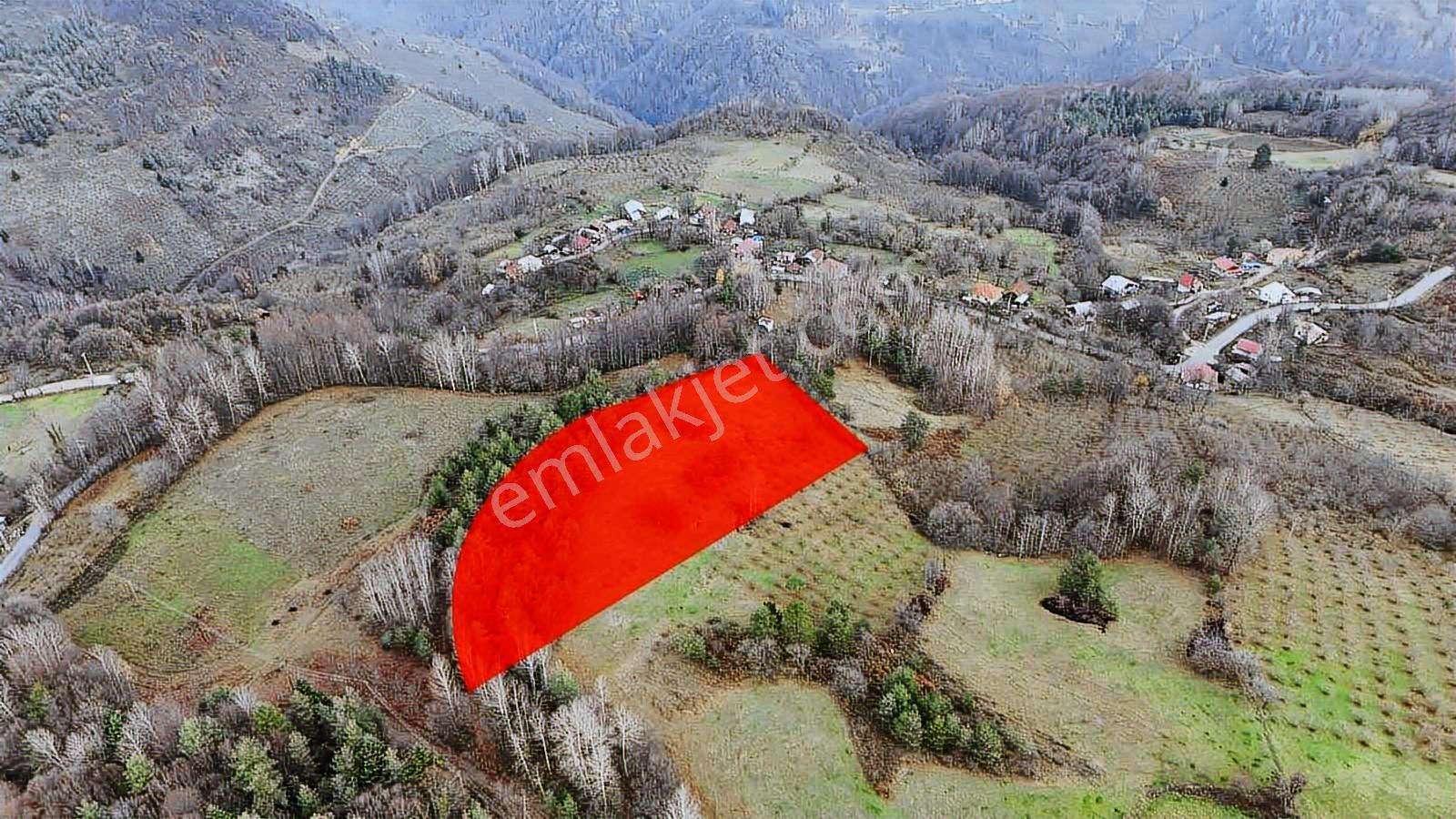 Ruşen Aydın Gyd'dan Kaynaşlı Yeniyurt Köyünde Yatırımlık Arsa