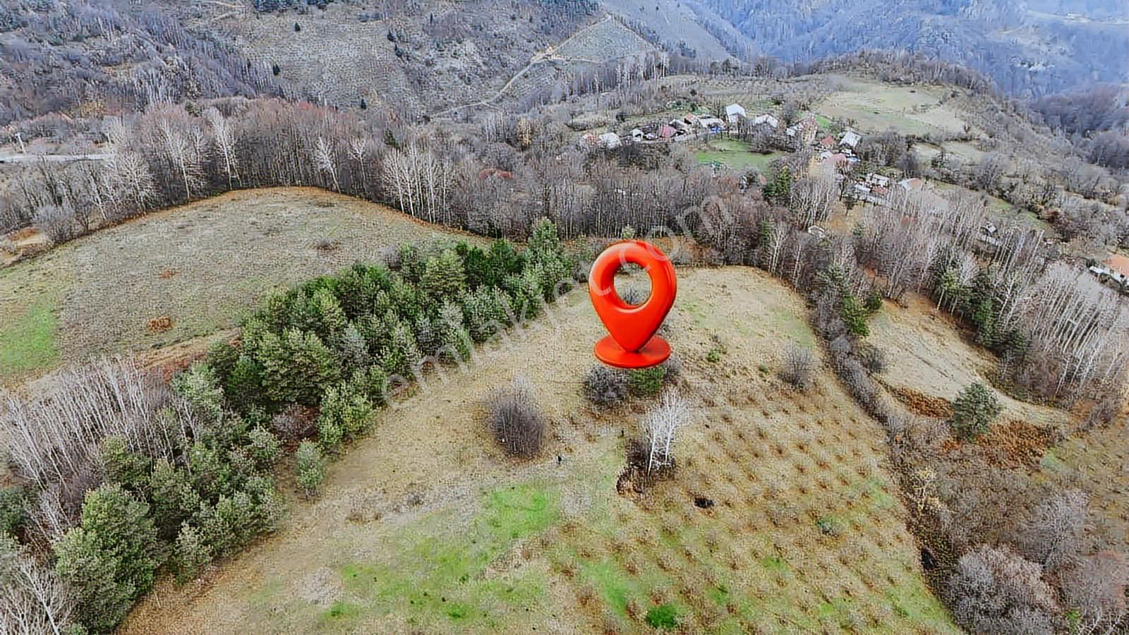 Ruşen Aydın Gyd'dan Kaynaşlı Yeniyurt Köyünde Yatırımlık Arsa - Görsel 7