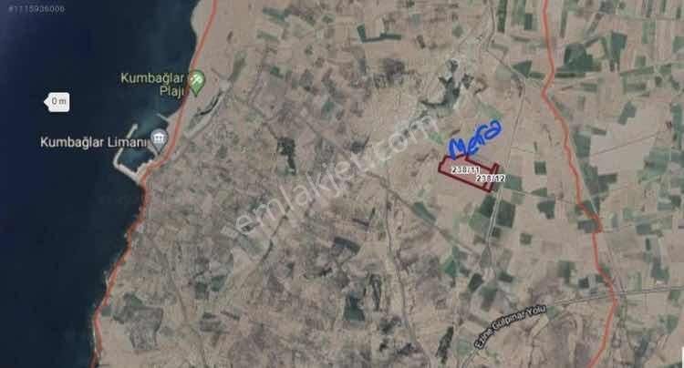 Ayvacık Gülpınarda 8900 Metrekare Kadastral Yolu Olan Tarla - Görsel 2