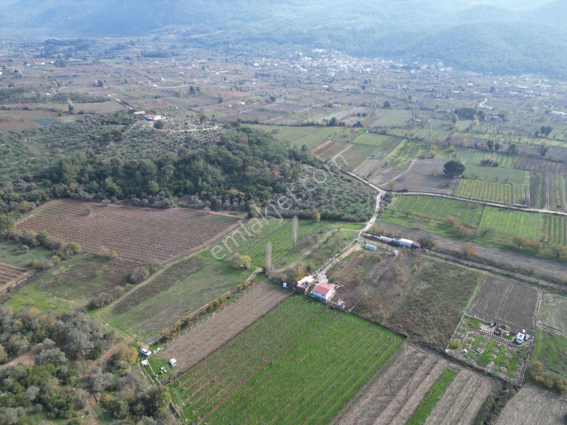 Kirazlı Köyünde Satılık Tarla - Görsel 10