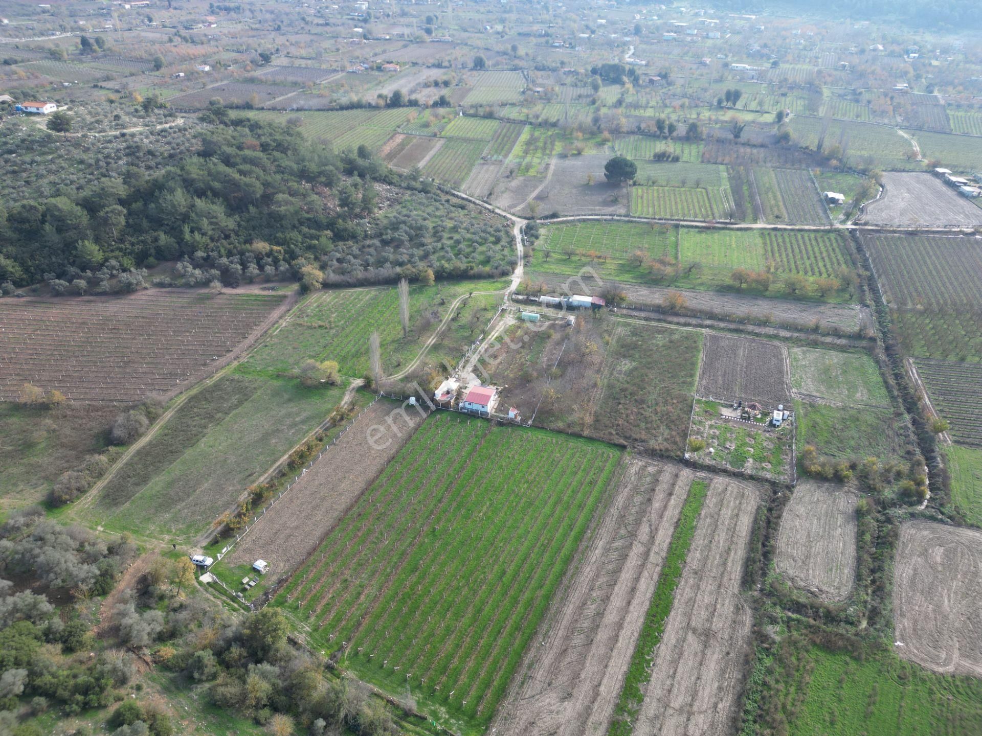 Kirazlı Köyünde Satılık Tarla - Görsel 9