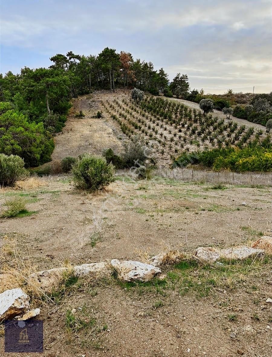 Eksper'den Adrasan Merkezine Yakın 1.850 M2 Yatırımlık Arazi !! - Görsel 9