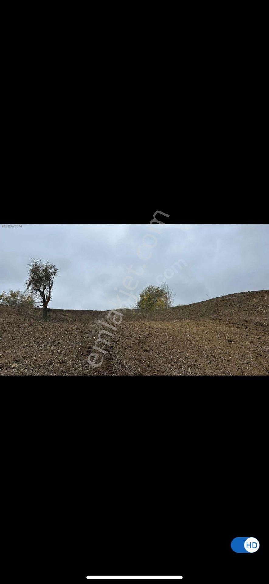 İstanbul Çatalca Kabakça Mah.sinde Acilen Satılık Tarla 8113m2.dir.