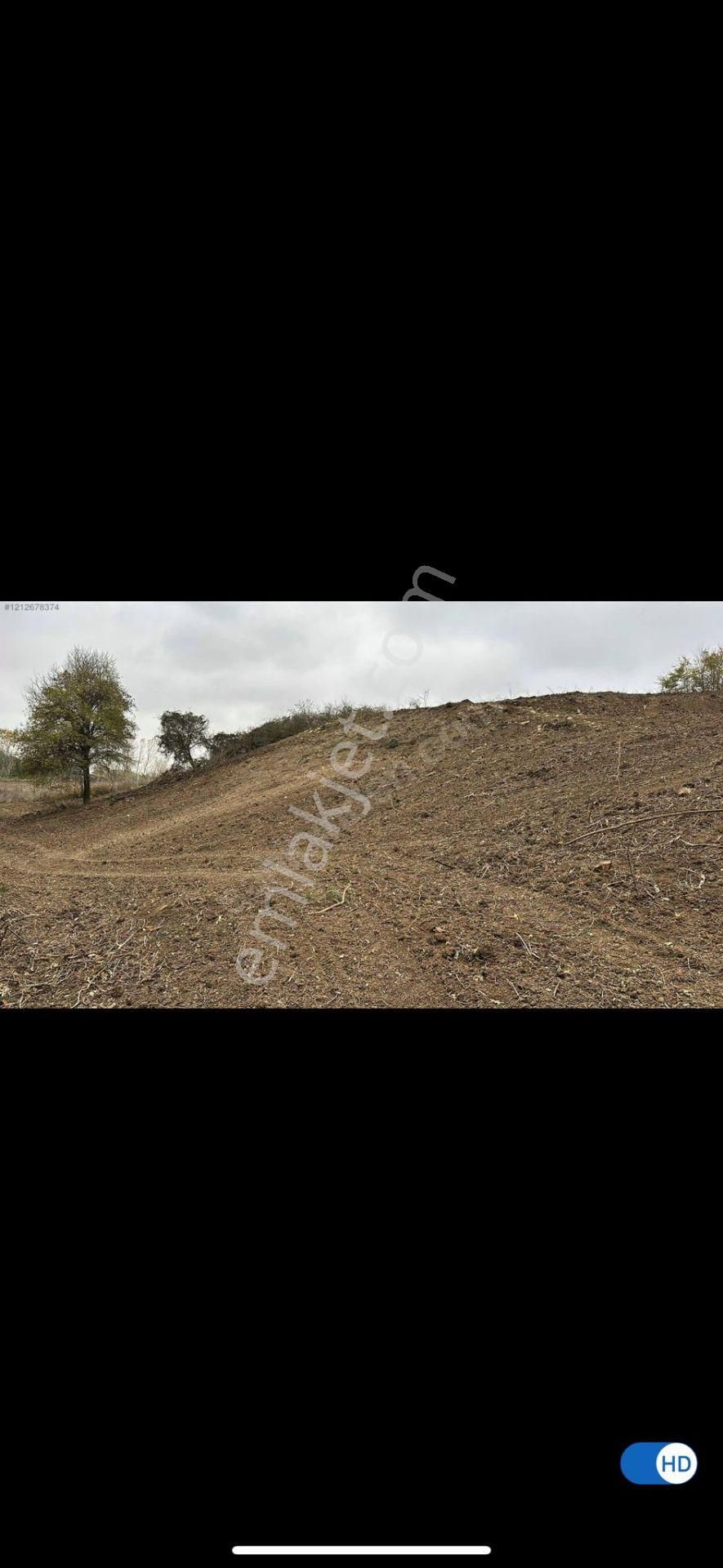 İstanbul Çatalca Kabakça Mah.sinde Acilen Satılık Tarla 8113m2.dir. - Görsel 6