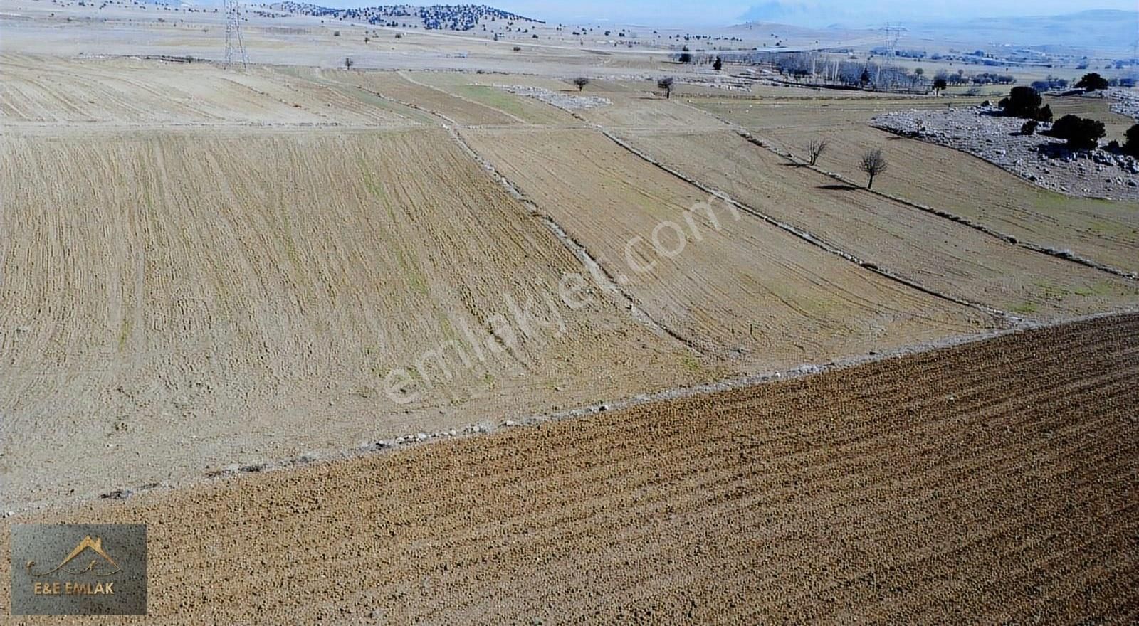 Burdur Mürseller Köyü'nde Satılık 1039 M² - Görsel 17