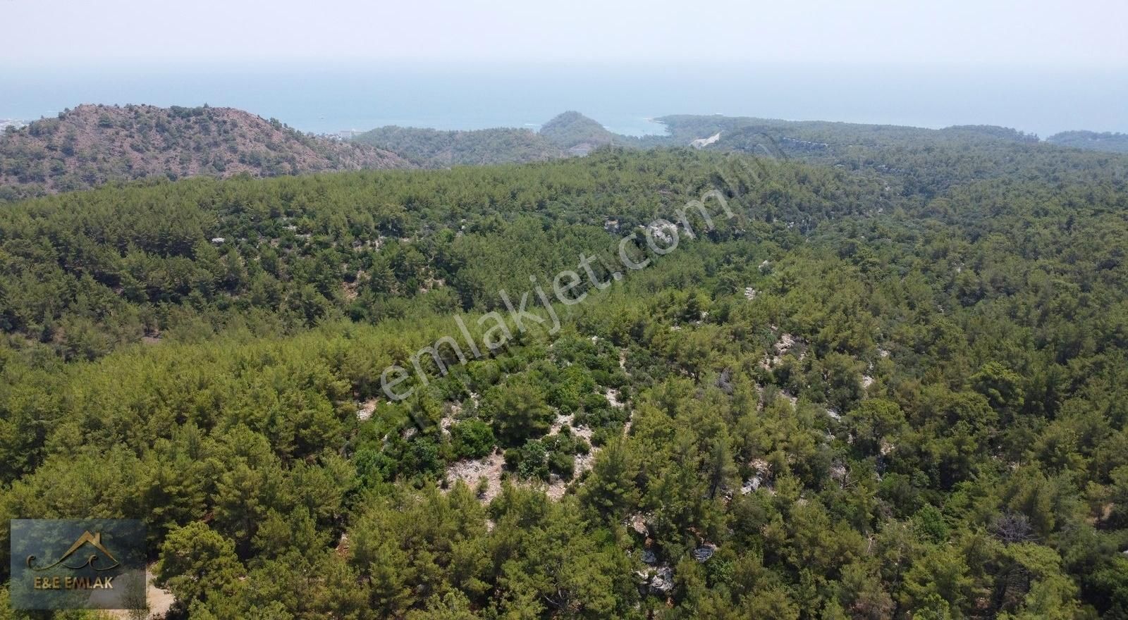 Çamyuva'da Deniz Manzaralı 10.263 M² Müstakil Arazi+ev+akarsu - Görsel 2