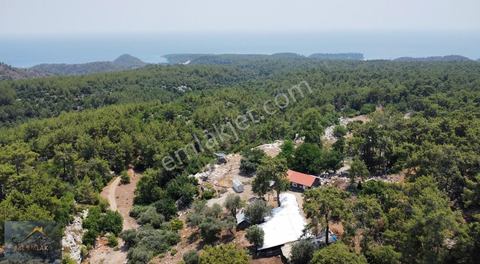 Çamyuva'da Deniz Manzaralı 10.263 M² Müstakil Arazi+ev+akarsu - Görsel 3