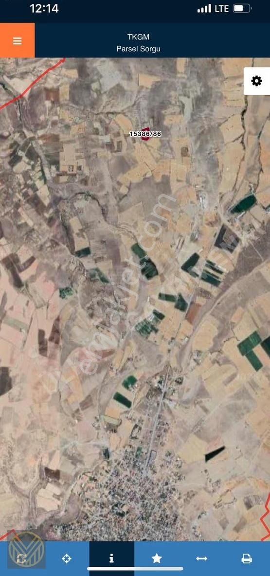 Ağırnas'da Bakımlı Üzüm Bağı - Görsel 2