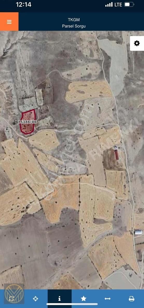 Ağırnas'da Bakımlı Üzüm Bağı