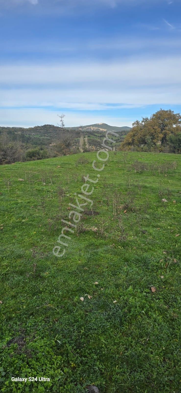 Çanakkale Merkez Serçiler Köyü Satılık Arazi - Görsel 21