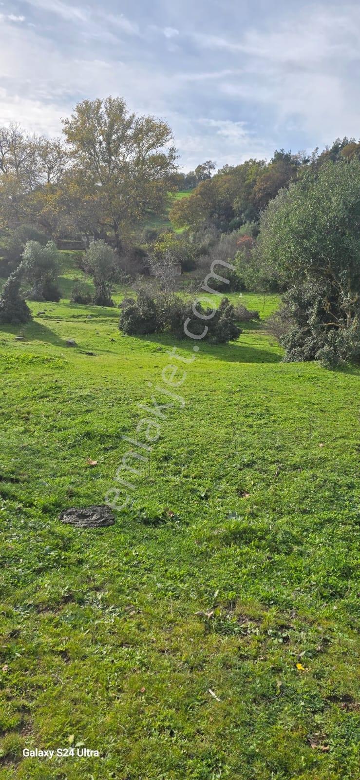 Çanakkale Merkez Serçiler Köyü Satılık Arazi - Görsel 11