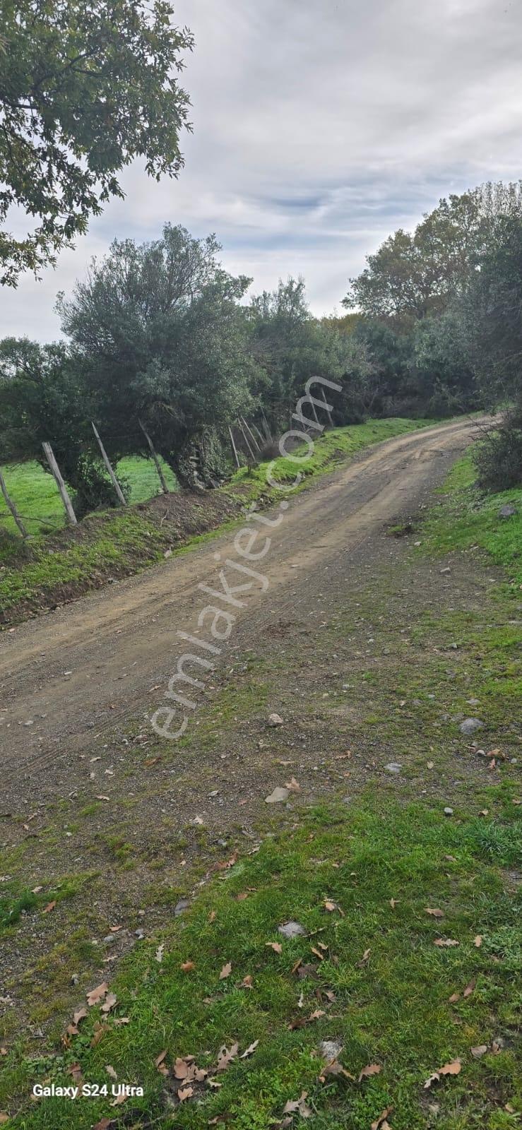 Çanakkale Merkez Serçiler Köyü Satılık Arazi - Görsel 22