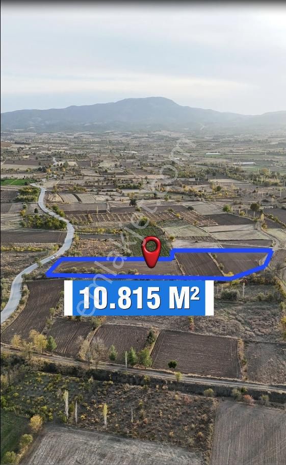 Şahin Emlaktan Denizli Acıpayam Darıveren Mah.satılık Asfalt Yola Sıfır 10.815 M² Tarla - Görsel 7