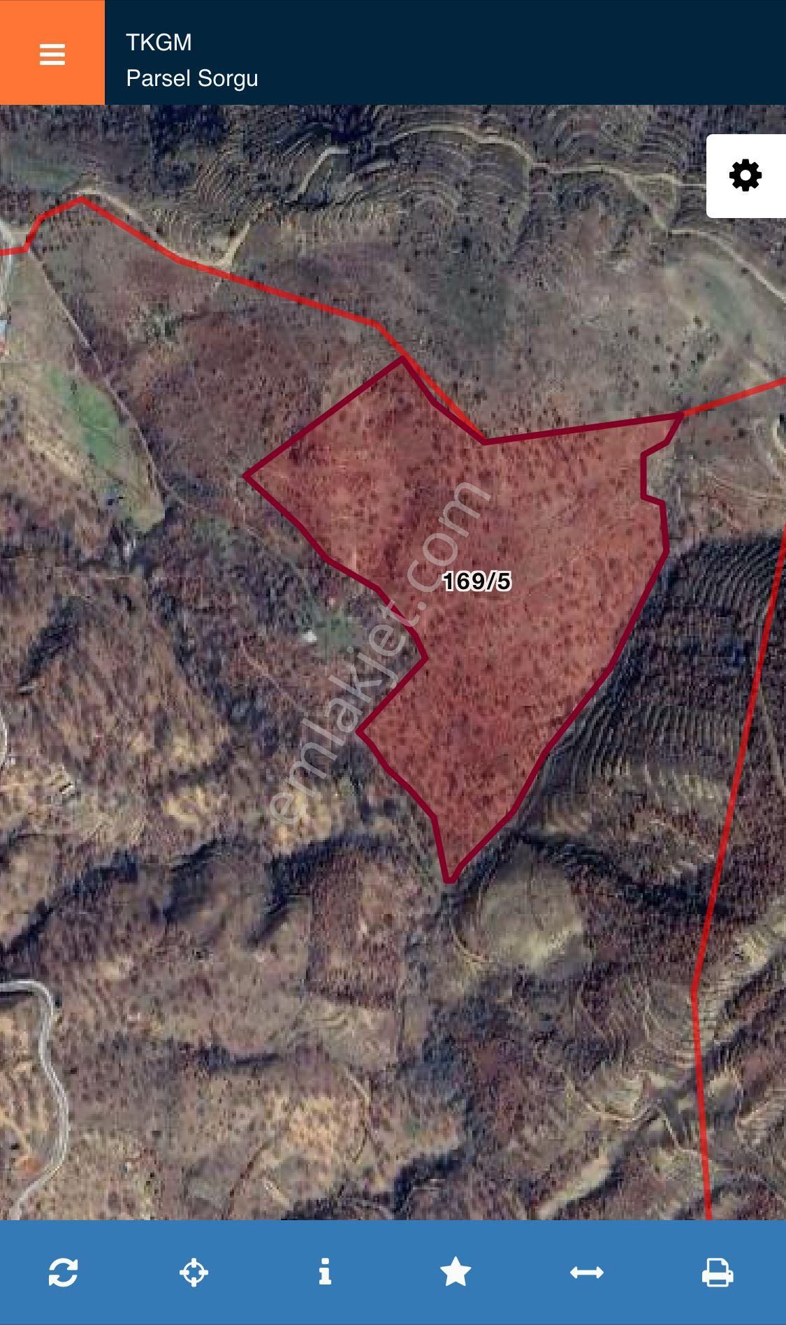 📌 Satılık 85 Dönüm Arazi – Aydın / Nazilli / Yaylapınar - Görsel 4