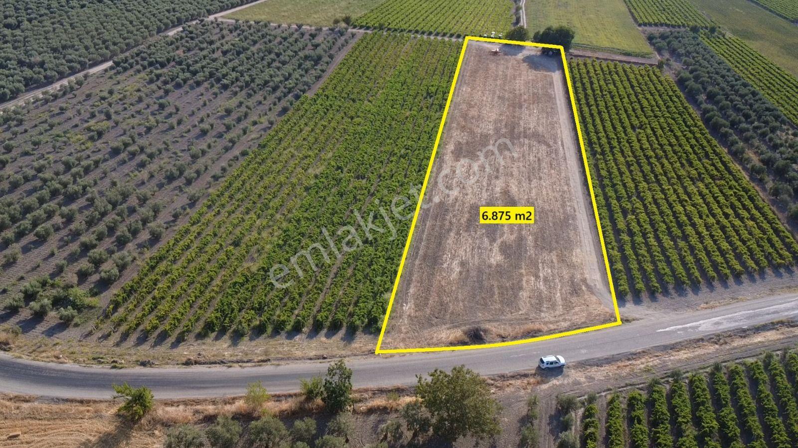 Manisa Tilkisüleymaniye De 6.875 M2 Tarla , Asfalta Sıfır