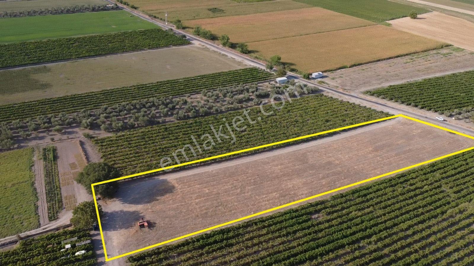 Manisa Tilkisüleymaniye De 6.875 M2 Tarla , Asfalta Sıfır - Görsel 2