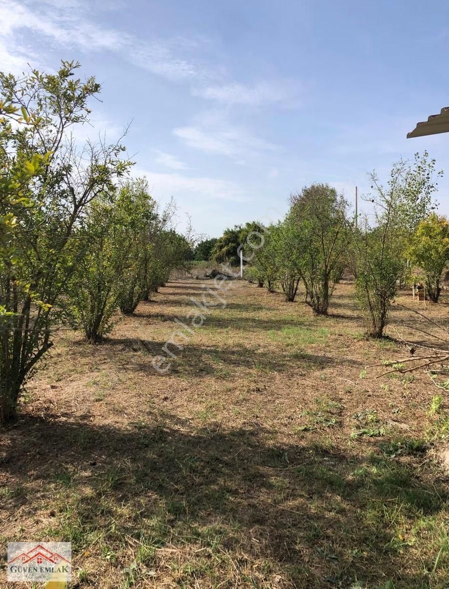 Hamzallı Da 7 Dönüm Tarla İçerisin De Satılık Müstakil Bahçe Evi - Görsel 22