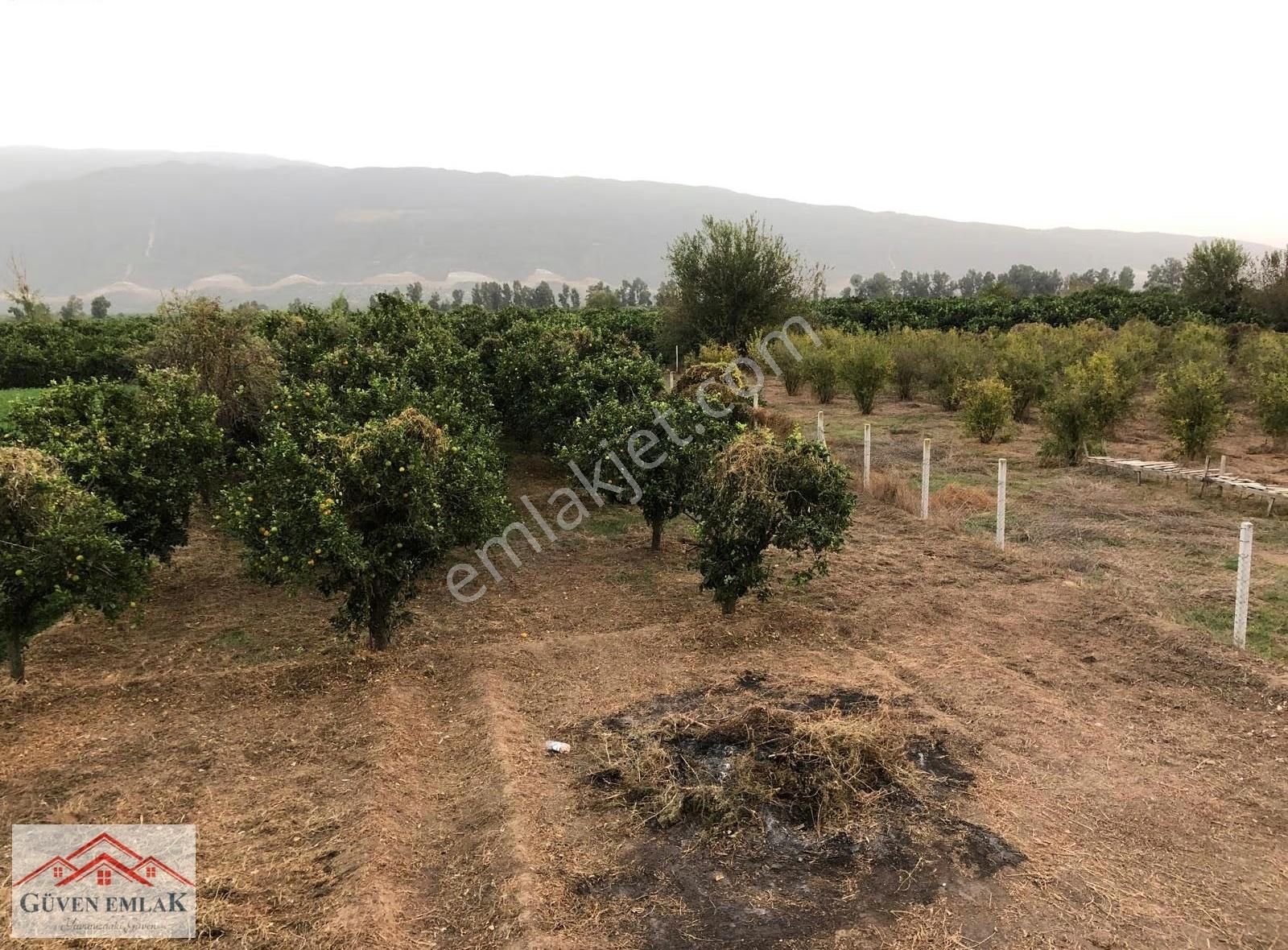 Hamzallı Da 7 Dönüm Tarla İçerisin De Satılık Müstakil Bahçe Evi - Görsel 12
